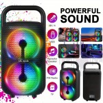 4500W Portable Wireless Speaker with Dual 3.5